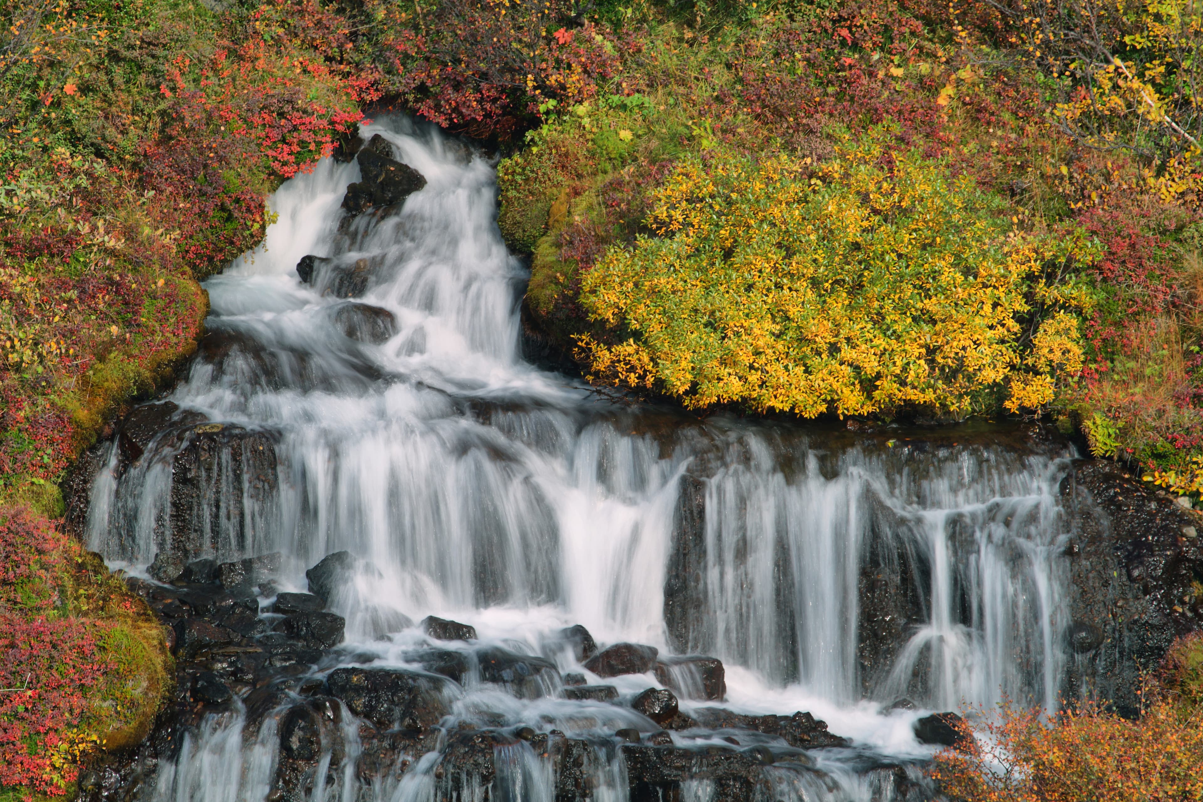 Beautiful mountain property