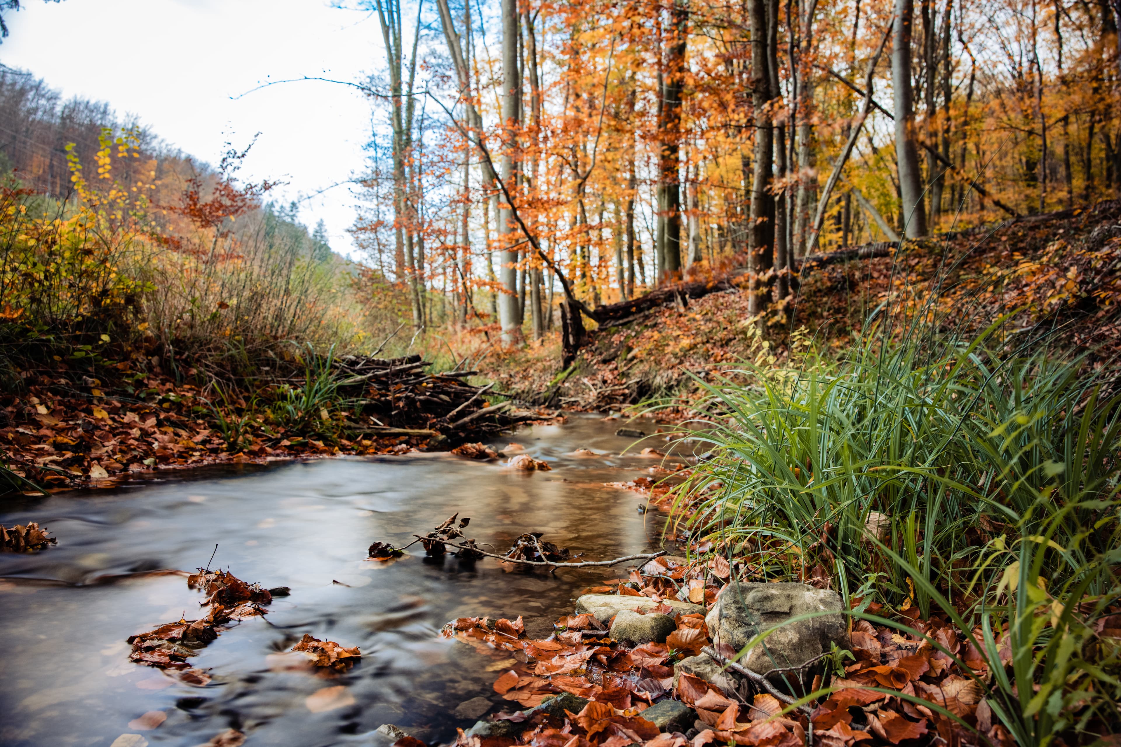 Schedule a consultation